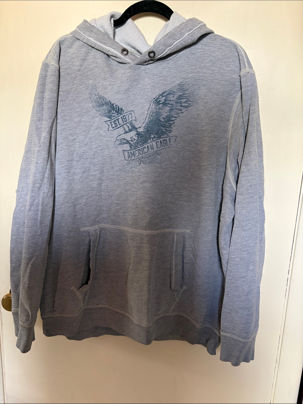 American Eagle Outfitters Light Heather Gray Eagle Graphic Hoodie